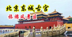 强制插入啊骚B高清无码中国北京-东城古宫旅游风景区